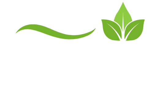 Herbal Remedy Solutions